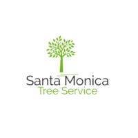 Santa Monica Tree Service, Tree Trimming image 5